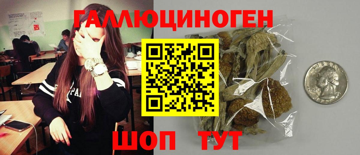где найти наркотики  Вход с VPN  Топки  Псилоцибиновые грибы Magic Shrooms 