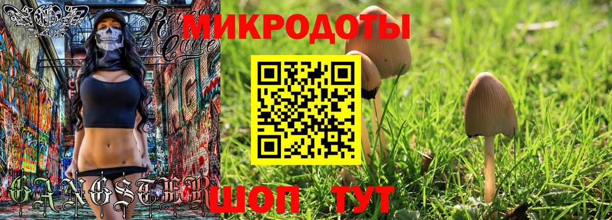Галлюциногенные грибы Cubensis Топки